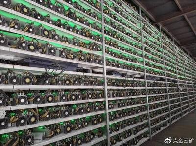 A bustling mining farm hosting various rigs, highlighting the scalable and efficient environment for cryptocurrency operations