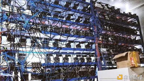 A vast mining farm showcases the industrial scale of modern cryptocurrency mining operations