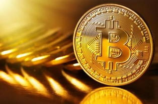 Bitcoin mining farm landscape filled with ASIC machines